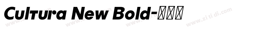 Cultura New Bold字体转换